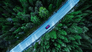 The future is green: how to help Fleet managers prepare for decarbonisation